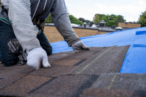 Best Flat Roof Repair Services  in Sullivan, IN